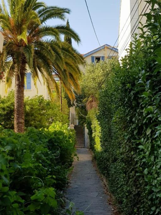 Appartement Pres Des Plages Du Mourillon 土伦 外观 照片