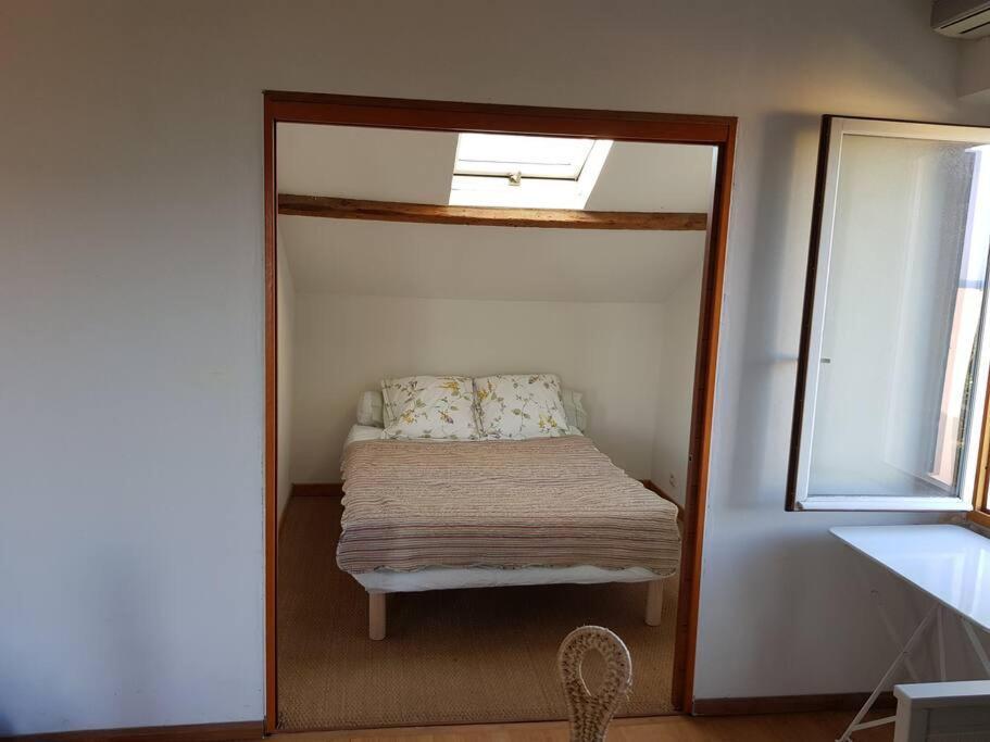 Appartement Pres Des Plages Du Mourillon 土伦 外观 照片