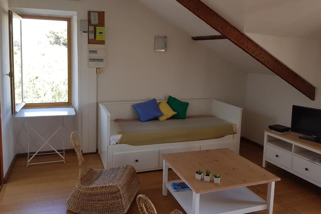 Appartement Pres Des Plages Du Mourillon 土伦 外观 照片