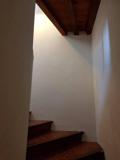 Appartement Pres Des Plages Du Mourillon 土伦 外观 照片